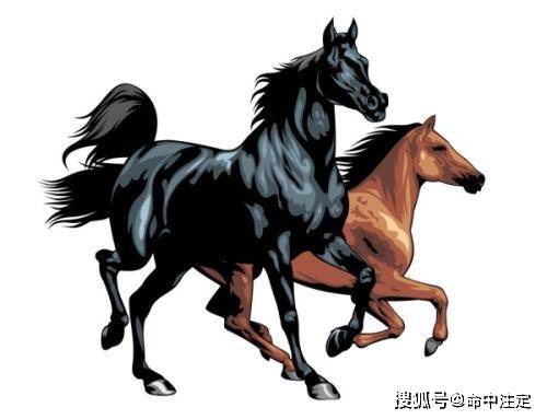 一马平川打一准确生肖全面释义、构建解答解释落实